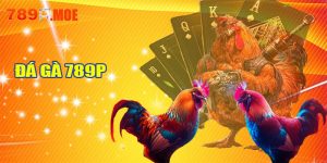 Đá gà 789P