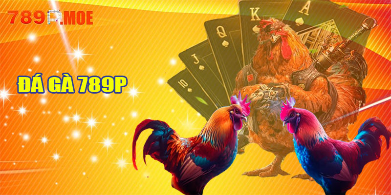 Đá gà 789P